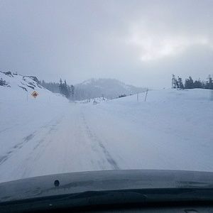 Meet your Posher, Hugo